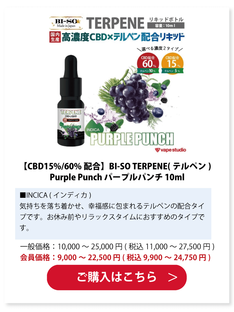 BI-SO TERPENE(テルペン) Purple Punch パープルパンチ 10ml