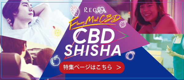 新発売『CBD SHISHA(シーシャ)』CBD3%配合で持ち運びにも便利な使い捨てタイプのモバイルシーシャ登場!
