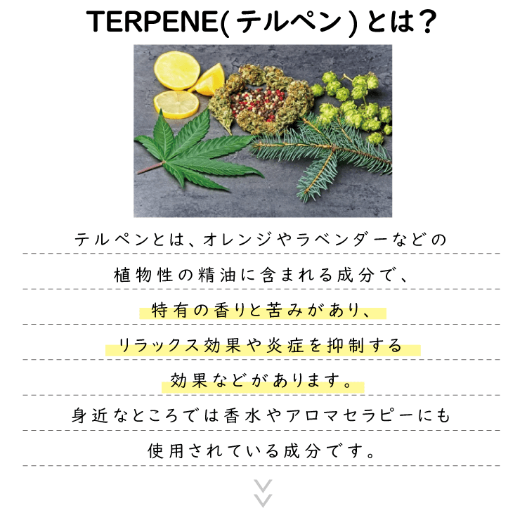 TERPENE(テルペン)とは？テルペンとは、オレンジやラベンダーなどの植物性の精油に含まれる成分で、特有の香りと苦みがあり、リラックス効果や炎症を抑制する効果などがあります。身近なところでは香水やアロマセラピーにも使用されている成分です。