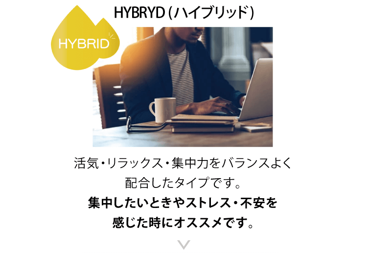 HYBRYD (ハイブリッド)活気・リラックス・集中力をバランスよく配合したタイプです。集中したいときやストレス・不安を感じた時にオススメです。