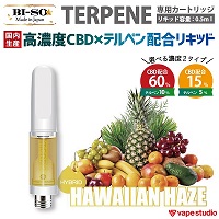 【CBD15%・60%配合】BI-SO TERPENE(テルペン) Hawaiian Haze ハワイアンヘイズ
