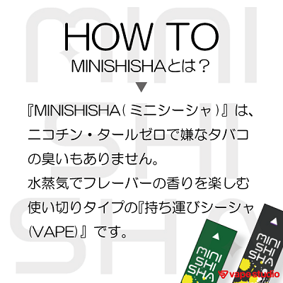 【送料無料!】MINI SHISHA(ミニ シーシャ) 全10フレーバー